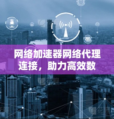 网络加速器网络代理连接，助力高效数据传输