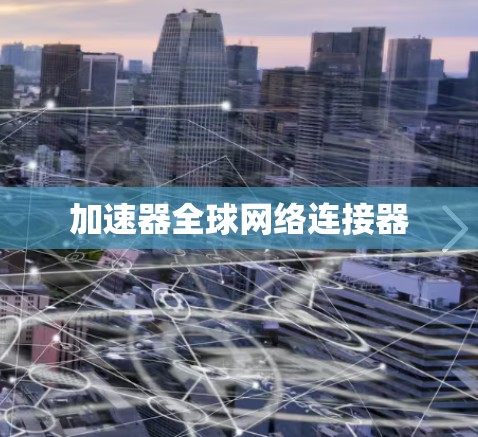加速器全球网络连接器