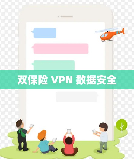 双保险 VPN 数据安全