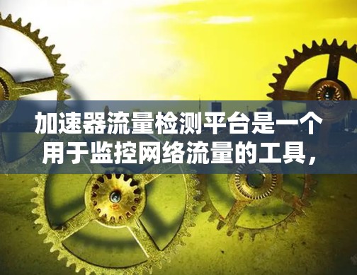 加速器流量检测平台是一个用于监控网络流量的工具，旨在帮助用户发现潜在的网络攻击、异常流量或用户行为问题。以下是对该平台的详细分析和总结