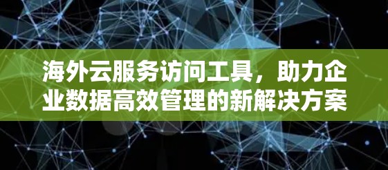 海外云服务访问工具，助力企业数据高效管理的新解决方案