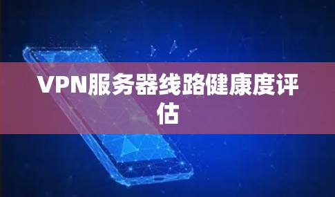 VPN服务器线路健康度评估