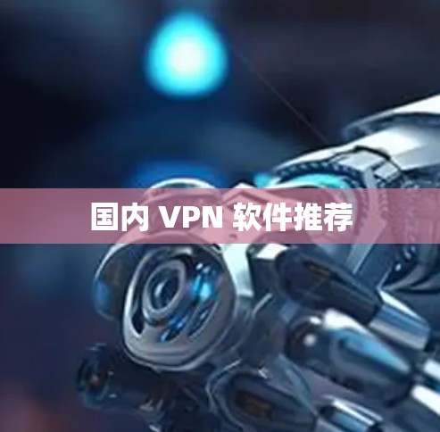 国内 VPN 软件推荐