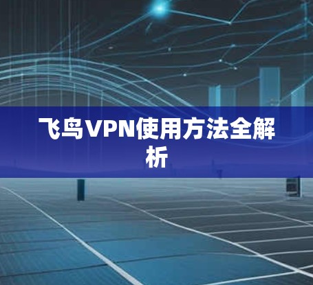 飞鸟VPN使用方法全解析 飞鸟VPN使用方法全解析