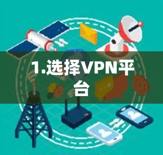 1.选择VPN平台 1.选择VPN平台