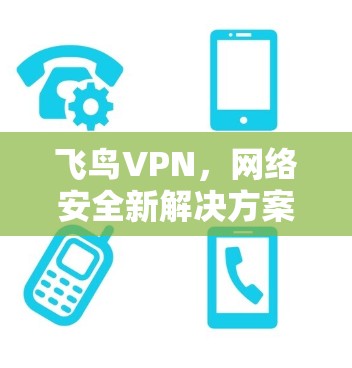 飞鸟VPN,网络安全新解决方案 飞鸟VPN,网络安全新解决方案