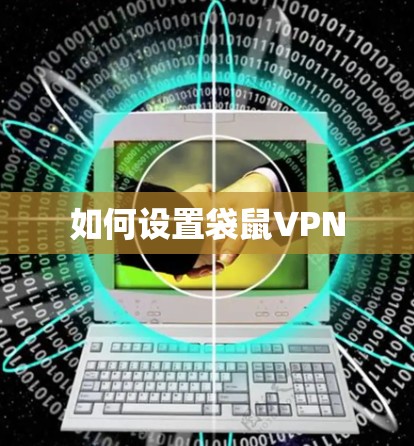 如何设置袋鼠VPN 如何设置袋鼠VPN