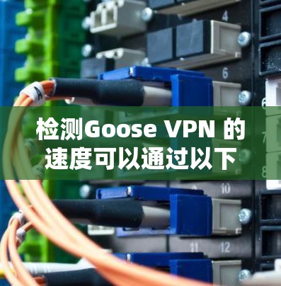 检测Goose VPN 的速度可以通过以下方法实现 检测Goose VPN 的速度可以通过以下方法实现