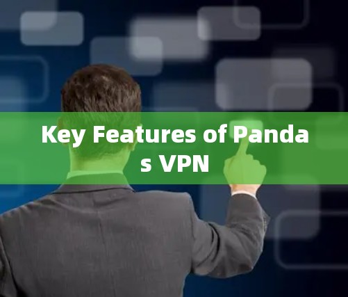 Key Features of Pandas VPN Key Features of Pandas VPN