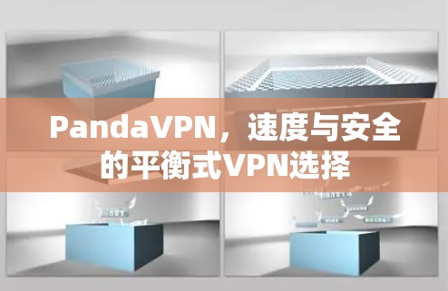 PandaVPN,速度与安全的平衡式VPN选择 PandaVPN,速度与安全的平衡式VPN选择