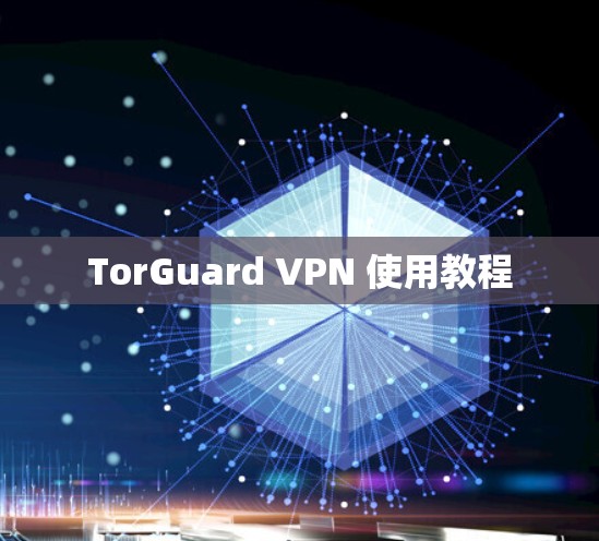 TorGuard VPN 使用教程 TorGuard VPN 使用教程