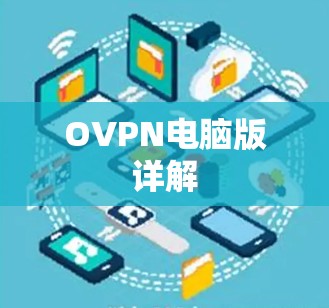 OVPN电脑版详解 OVPN电脑版详解