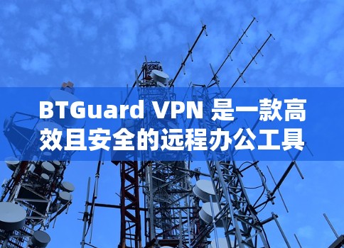 BTGuard VPN 是一款高效且安全的远程办公工具,以其卓越的速度和多样的功能著称。以下是对其体验的详细分析 BTGuard VPN 是一款高效且安全的远程办公工具,以其卓越的速度和多样的功能著称。以下是对其体验的详细分析