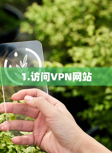 1.访问VPN网站 1.访问VPN网站