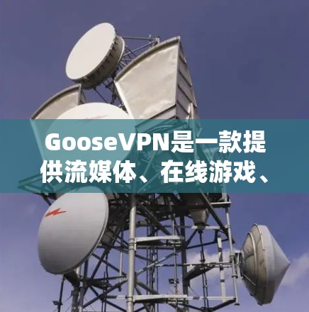 GooseVPN是一款提供流媒体、在线游戏、视频会议等高级功能的VPN服务,用户可以根据自己的需求选择适合的选项。以下是对GooseVPN体验的评测 GooseVPN是一款提供流媒体、在线游戏、视频会议等高级功能的VPN服务,用户可以根据自己的需求选择适合的选项。以下是对GooseVPN体验的评测