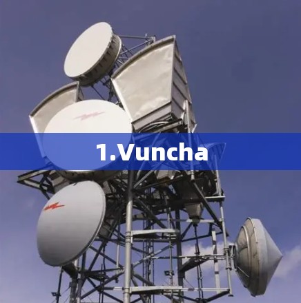 1.Vuncha 1.Vuncha