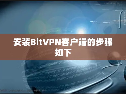 安装BitVPN客户端的步骤如下 安装BitVPN客户端的步骤如下