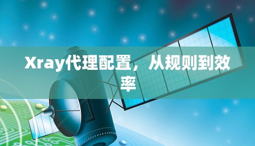 Xray代理配置,从规则到效率 Xray代理配置,从规则到效率
