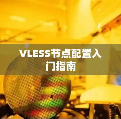 VLESS节点配置入门指南 VLESS节点配置入门指南