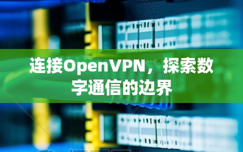 连接OpenVPN,探索数字通信的边界 连接OpenVPN,探索数字通信的边界