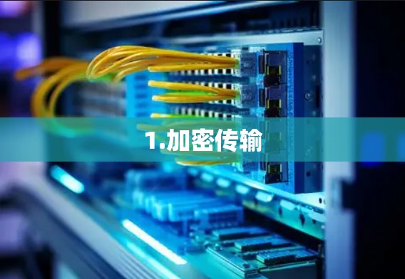 1.加密传输 1.加密传输