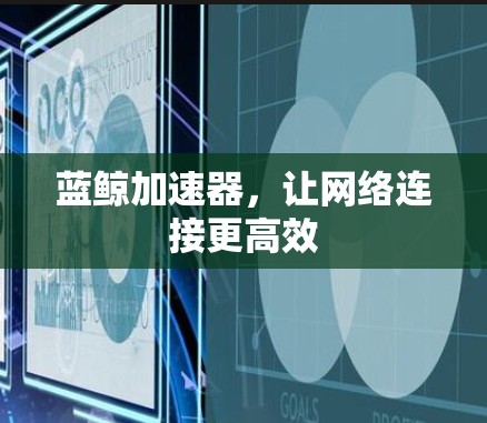 蓝鲸加速器,让网络连接更高效 蓝鲸加速器,让网络连接更高效