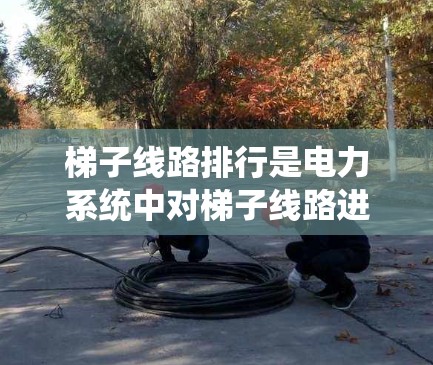 梯子线路排行是电力系统中对梯子线路进行合理排列和管理的过程,旨在确保系统的可靠性、效率和安全性。以下是对梯子线路排行的分步说明 梯子线路排行是电力系统中对梯子线路进行合理排列和管理的过程,旨在确保系统的可靠性、效率和安全性。以下是对梯子线路排行的分步说明