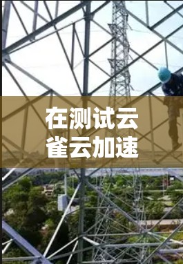 在测试云雀云加速器时遇到问题,可以按照以下步骤进行排查和解决 在测试云雀云加速器时遇到问题,可以按照以下步骤进行排查和解决
