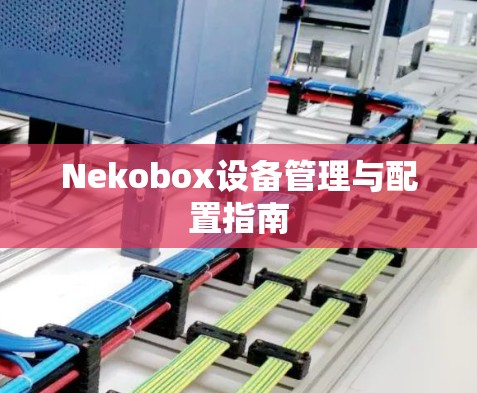 Nekobox设备管理与配置指南