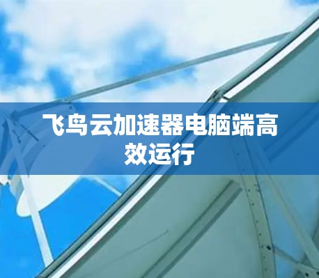 飞鸟云加速器电脑端高效运行