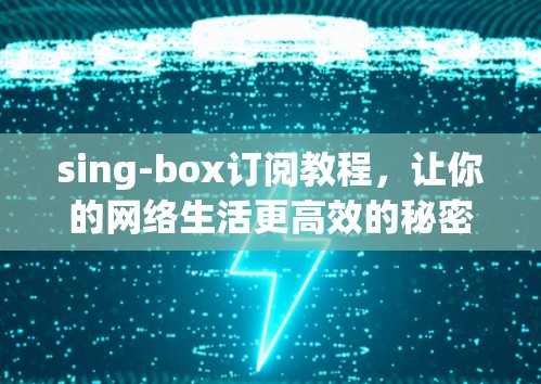 sing-box订阅教程，让你的网络生活更高效的秘密