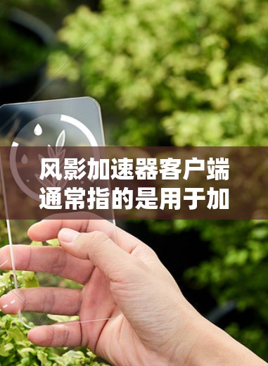 风影加速器客户端通常指的是用于加速风影游戏的加速器工具。风影加速器是一种专门针对特定游戏加速的软件，旨在提升游戏性能并下载速度。客户端则是指用户在电脑上直接安装并运行的加速器，而非服务器的加速工具